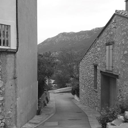 Les lavandes Duilhac-sous-Peyrepertuse Extérieur photo