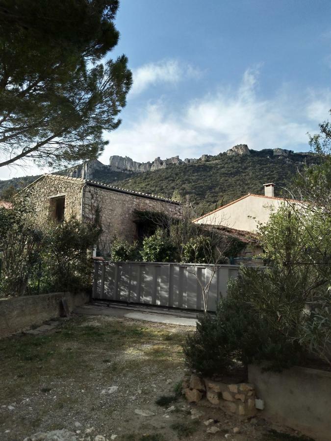 Les lavandes Duilhac-sous-Peyrepertuse Extérieur photo